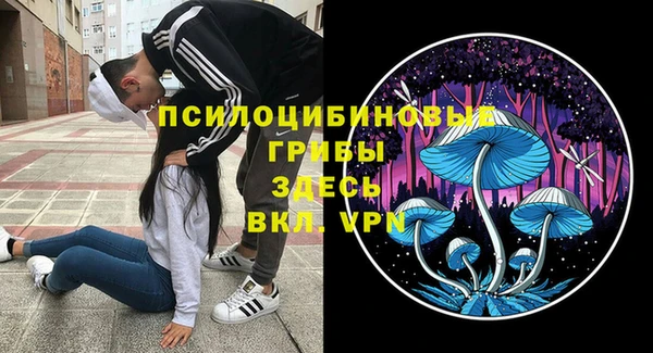 стафф Переславль-Залесский