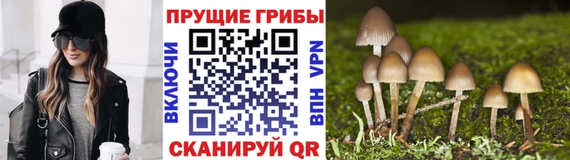 Псилоцибиновые грибы мухоморы  Чулым 
